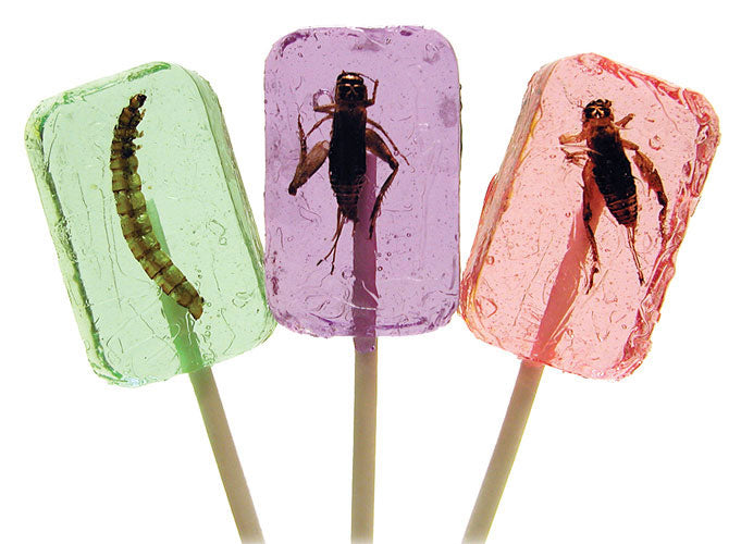 3 Cricket & Larva lollipops !!!!