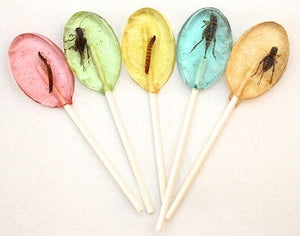 5 Miscellaneous Insect lollipops