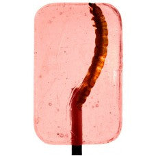 Worm lollipop